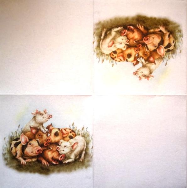 080 Pigs - 3-ply - Nouveau